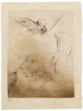 Sorciere au balai
