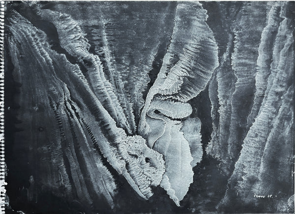 "¿Cómo son sus ojos?"