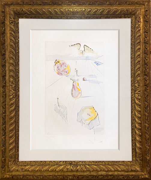 REGRESO, REGRESO, SHULAMITA