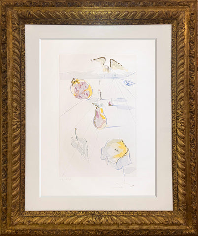 REGRESO, REGRESO, SHULAMITA