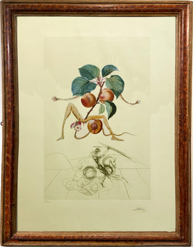 "Abricot et chevallier"